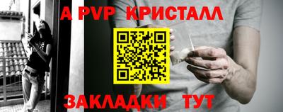 2c-b Кингисепп