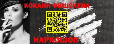 2c-b Кингисепп