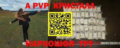 2c-b Кингисепп