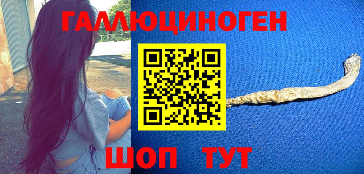 Псилоцибиновые грибы GOLDEN TEACHER Красноармейск