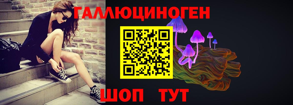Псилоцибиновые грибы Magic Shrooms  Псилоцибиновые грибы Psilocybe  купить   Вход с VPN  Красноармейск 
